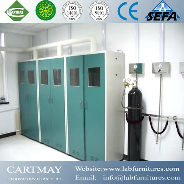 Lab Gas Cylinder Cabinet